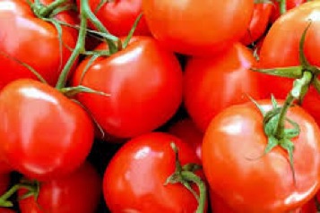 web-32-tomate