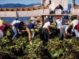 Se mantiene inflación por encima de 4% 