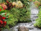 Divulgan biodiversidad mexicana