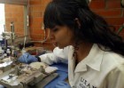 Analiza laboratorio UNAM células y transgénicos