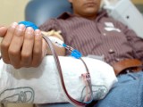 Podrán donar sangre homosexuales  