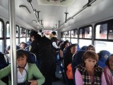 Más de 300 elementos en “Pasajero Seguro”