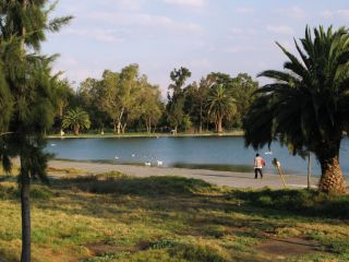 bosque aragon