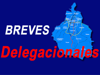 brevesdelegacionales