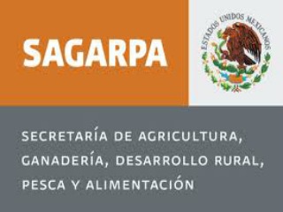 Secretaría de Agricultura