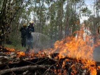 incendios