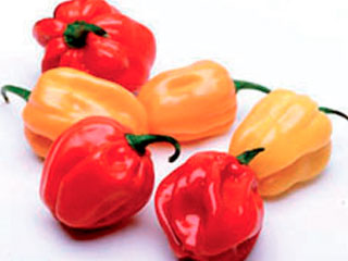 20130403-habanero