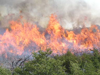 20130403-incendios