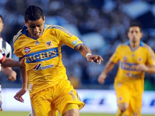 20130403-tigres