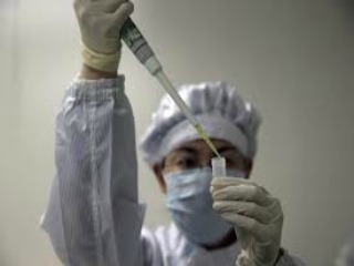 gripe aviar