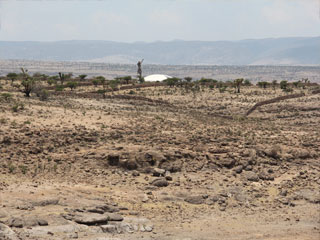 20130417DesiertoJalisco