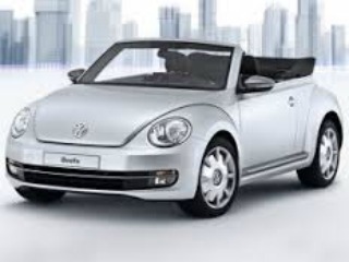 beetle