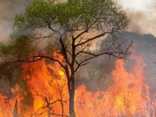 incendios