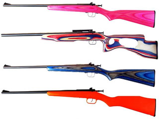 crickett-guns