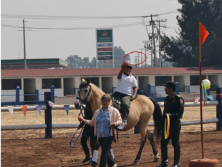 equinoterapia
