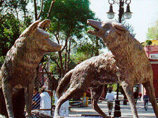 coyoacan