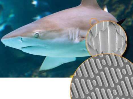 tech- piel de tiburon