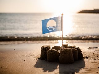 ecologia blue-flag2-web