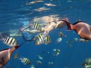 ecologia1-web