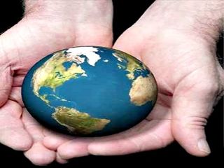 ecol-medio ambiente-web