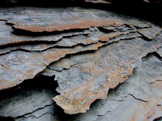 principal 2- gas shale-web