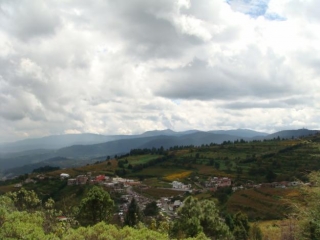 edo2