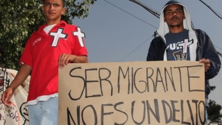 pol nal6-migrante