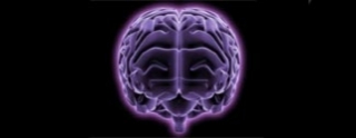 ciencia3