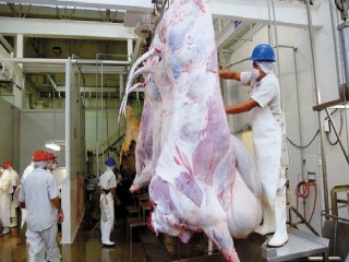 carne