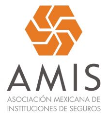 economia2-amis