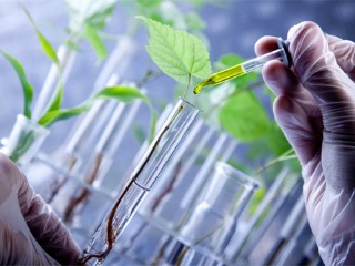 Ciencia1-biotecnico
