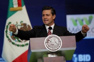 polnal5-epn