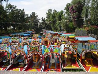 ecologia-xochimilco