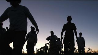 pol nal2-migrantes