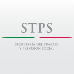 stps