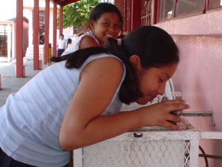 bebedro