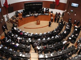 polnal2-senado