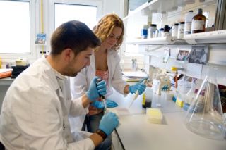 ciencia-Jovenes-Investigadores