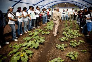 ecologia-ecoguardas