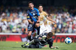 dep6-pumas