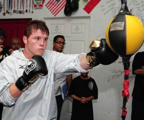 dep6-canelo