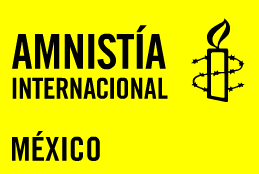 pol-amnistia copia