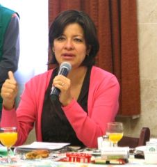 edomex4
