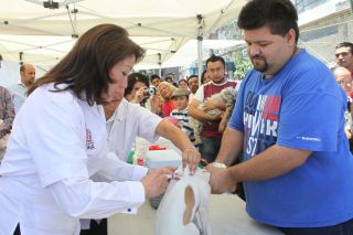 edomex4-ve