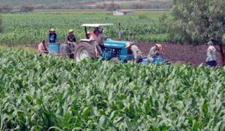 edomex1-pacto-rural