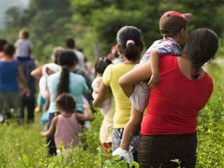migrants