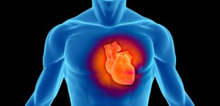 salud-enfermedad-cardiovascular