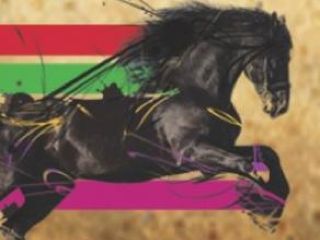 edo3-caballo-web