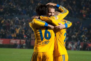 dep-tigres
