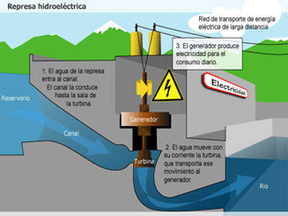 ecologia-web